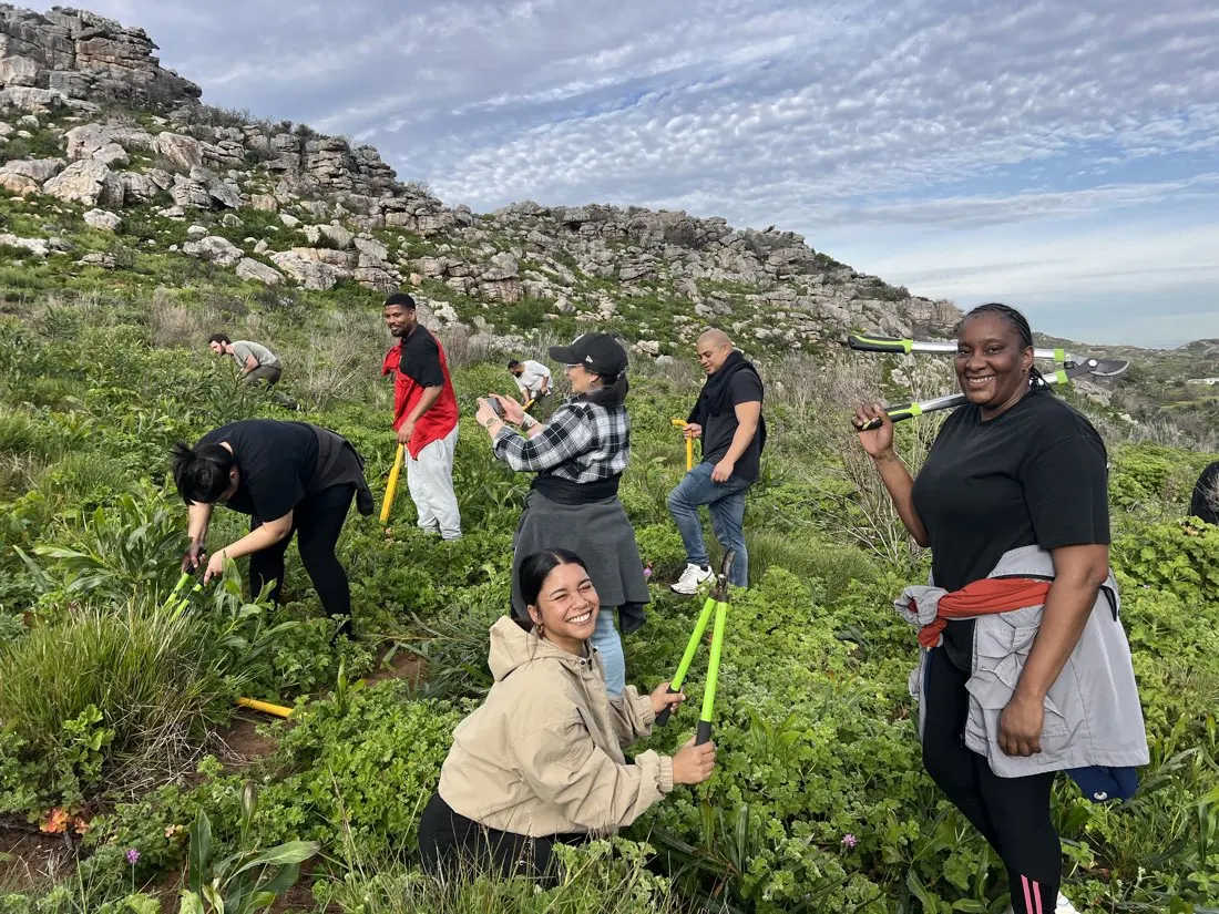Team members clearing invasive plants in the fynbos
